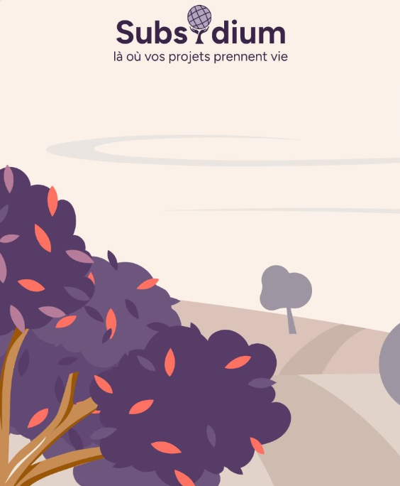 Subsidium, là où vos projets prennent vie